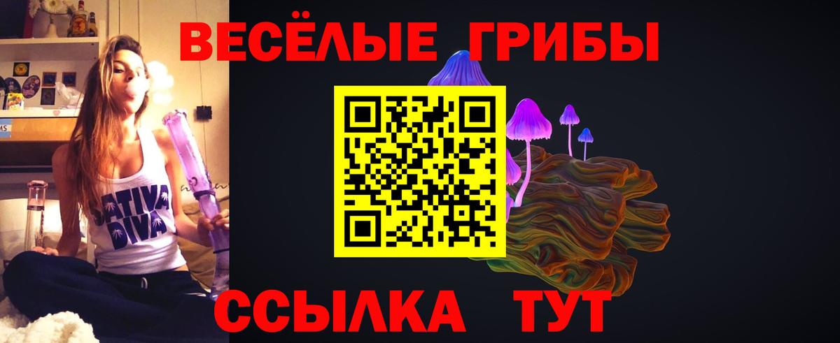 Галлюциногенные грибы MAGIC MUSHROOMS  Вход с VPN  Челябинск 